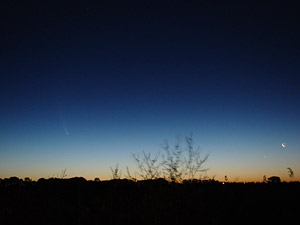 C/2006 P1 McNaught :: Sur Astronmico