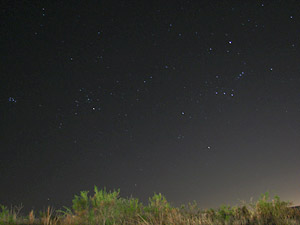 Orion y Taurus :: Sur Astronmico