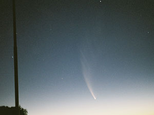 C/2006 P1 McNaught :: Sur Astron�mico