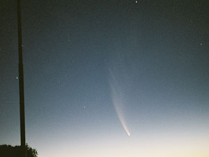 C/2006 P1 McNaught :: Sur Astronmico