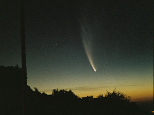 C/2006 P1 McNaught :: Sur Astron�mico