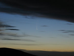 Cometa C/2006 P1 McNaught