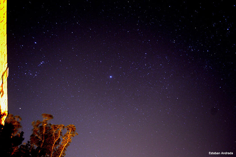 Orion