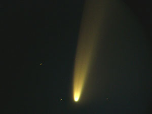 C/2006 P1 McNaught :: Sur Astronmico