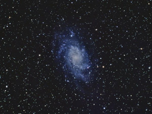 M 33