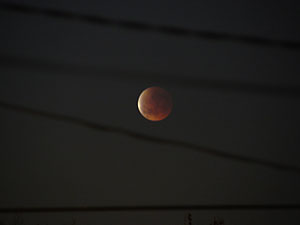 Eclipse Lunar