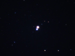 Albireo :: Sur Astronmico