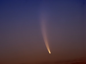 C/2006 P1 McNaught :: Sur Astronómico