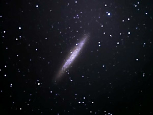 NGC 4945 :: Sur Astronmico