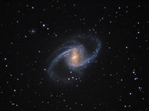 NGC 1365