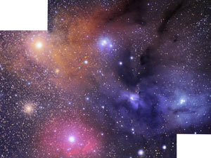 Mosaico Antares / rho Ophiuchus