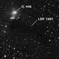 IC 446 y LDN 1601