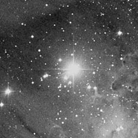 NGC 2264