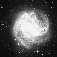 M 83