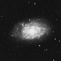 NGC 7793