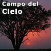 Campo del Cielo