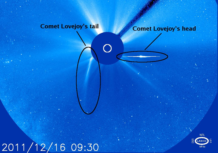 Cometa Lovejoy